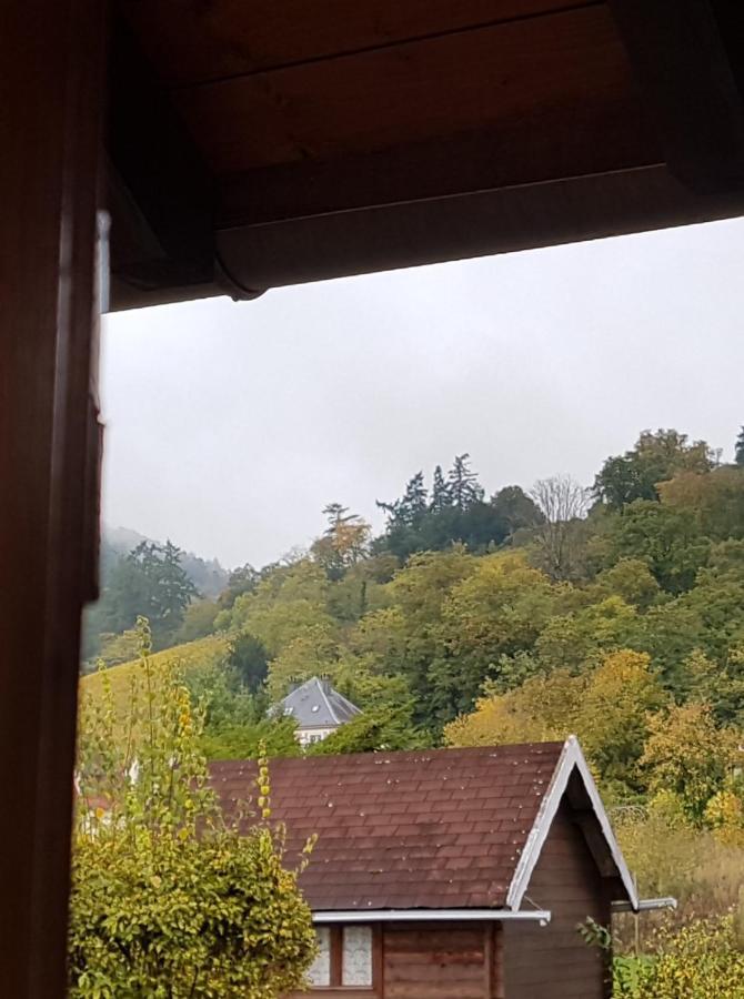 La Valeriane Appartement Kintzheim Buitenkant foto