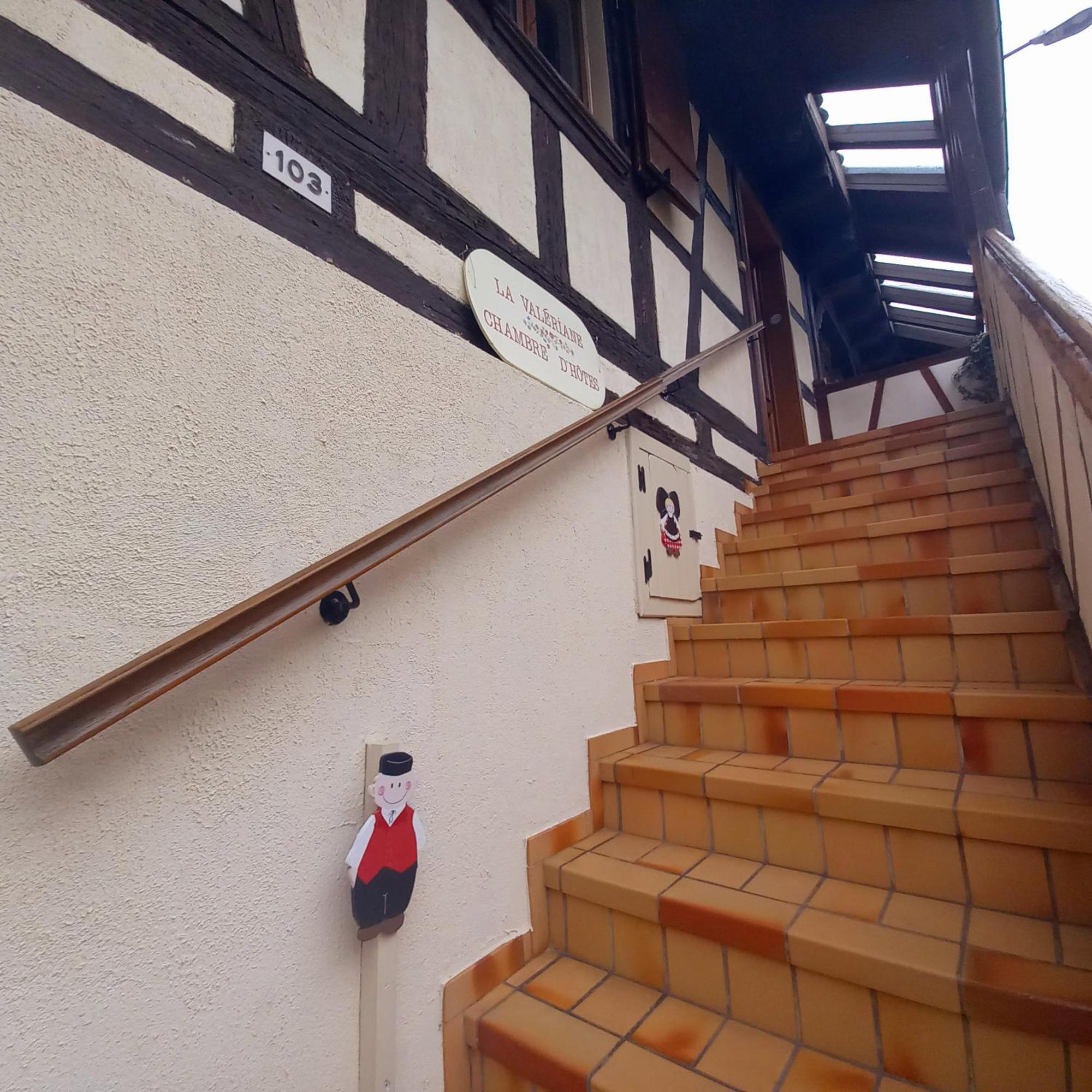 La Valeriane Appartement Kintzheim Buitenkant foto